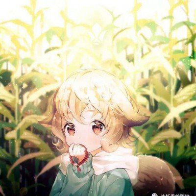 特朗普认为是中国促使伊朗同意停火